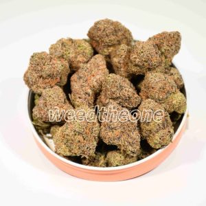 Lemon Cherry Gelato